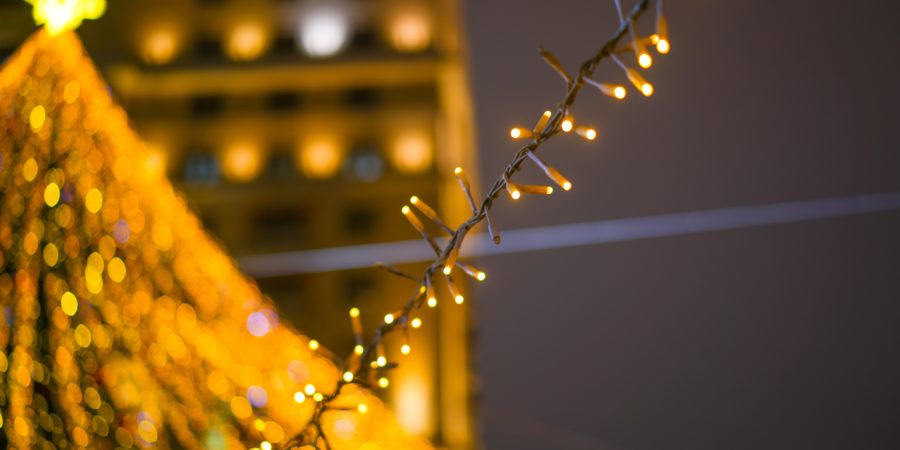 ¡Felices Fiestas y Próspero Año Nuevo desde Panda Redes!