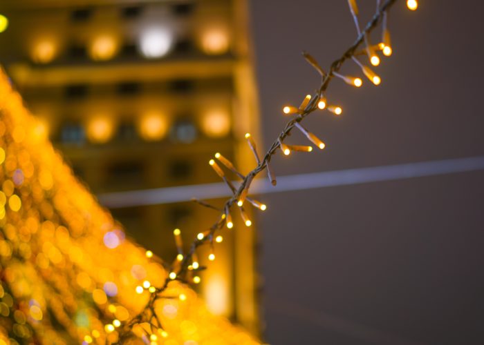 ¡Felices Fiestas y Próspero Año Nuevo desde Panda Redes!